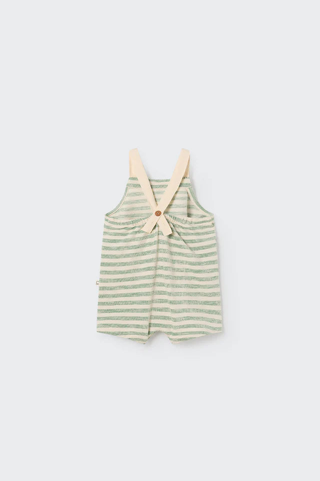 Overall Baby Boy Leo Striped Green - ملابس