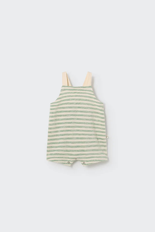 Overall Baby Boy Leo Striped Green - ملابس