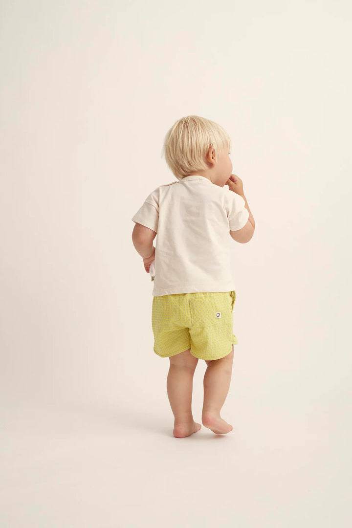 Shorts Baby Boy Julius Neon Yellow - ملابس