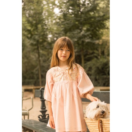 Dress Paula Stripe Pink - فستان